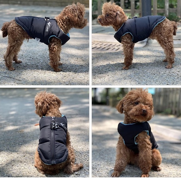 SALE!! Size XL NEW Waterproof zip dog coat. Medium large dogs.  4 - Picture 5 of 11